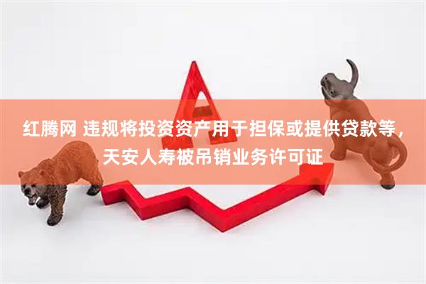 红腾网 违规将投资资产用于担保或提供贷款等，天安人寿被吊销业务许可证