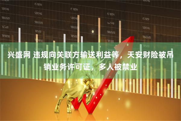兴盛网 违规向关联方输送利益等，天安财险被吊销业务许可证，多人被禁业