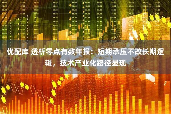 优配库 透析零点有数年报：短期承压不改长期逻辑，技术产业化路径显现