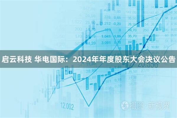 启云科技 华电国际：2024年年度股东大会决议公告