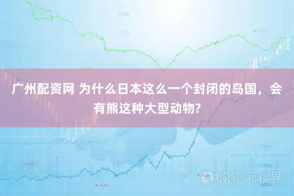 广州配资网 为什么日本这么一个封闭的岛国，会有熊这种大型动物?